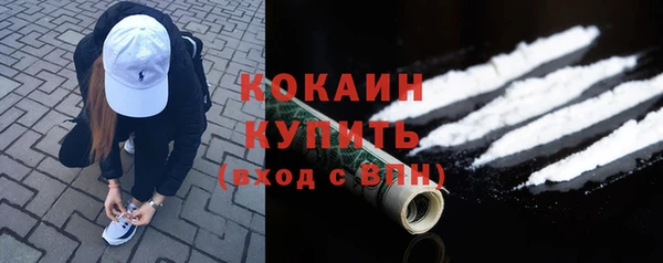 гашик Богданович