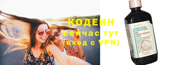 гашик Богданович