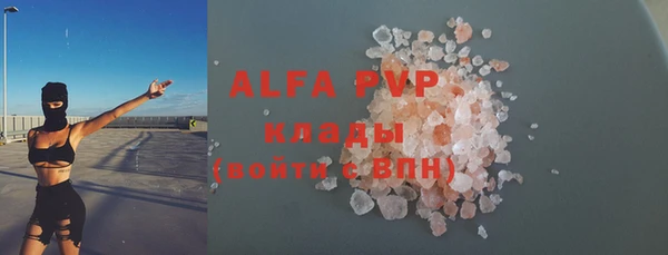 гашик Богданович