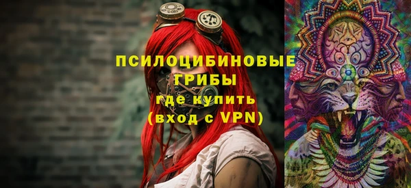 гашик Богданович