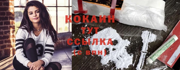 эйфоретик Богородицк