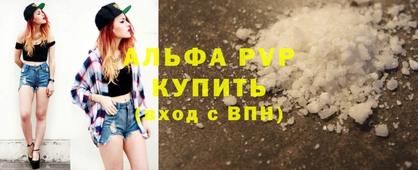 гашик Богданович