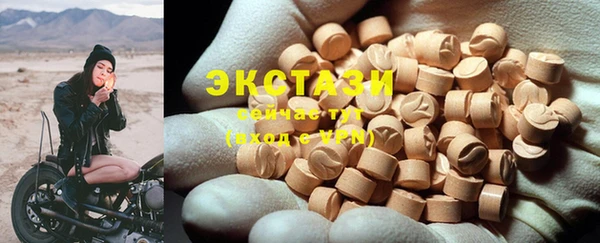 гашик Богданович