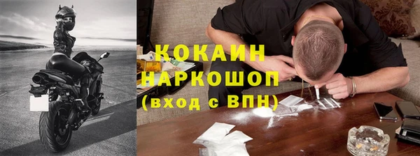 гашик Богданович