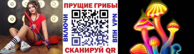 Галлюциногенные грибы MAGIC MUSHROOMS  Среднеуральск 